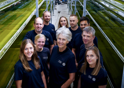 Swedish Algae Factory